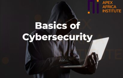 Apex Africa Training Institute Basics of Cyber Security