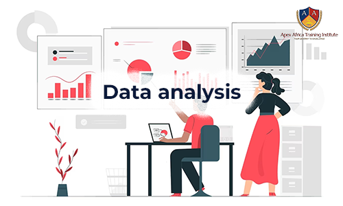 Apex Africa Training Institute Data analysis