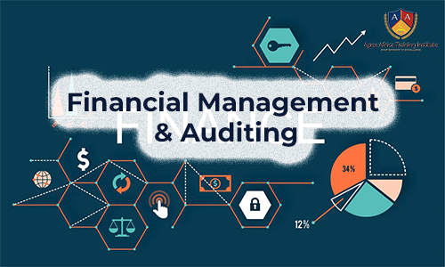 Financial Management and Auditing