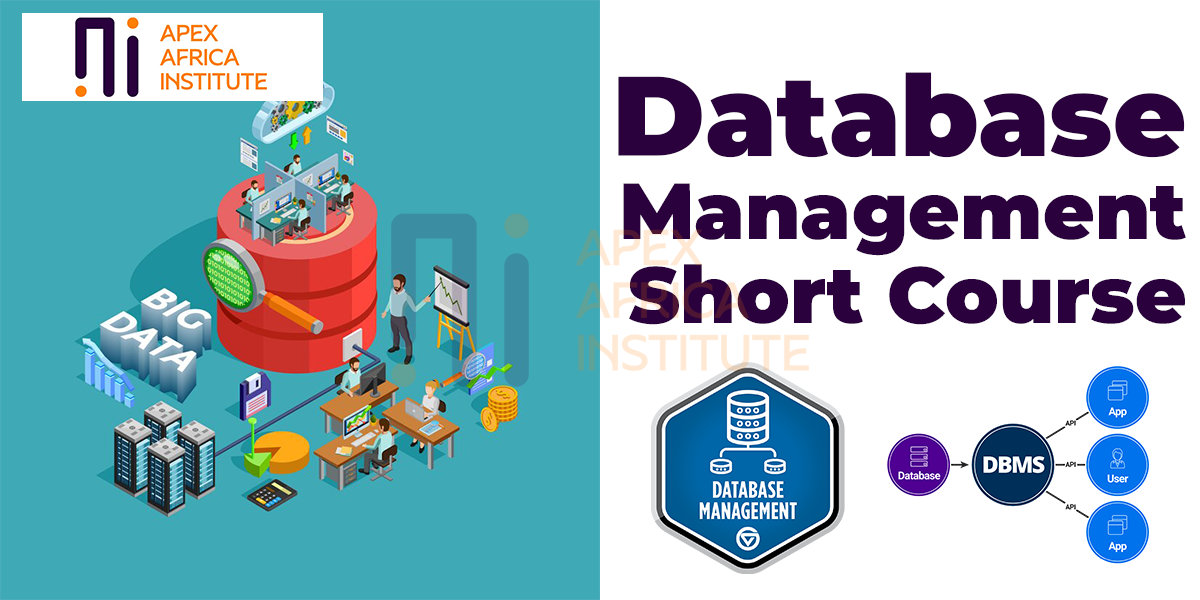 Apex Africa Institute Database Management Short Course